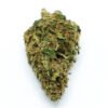 buy Durban Poison sativa