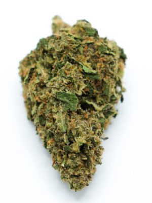 buy Durban Poison sativa
