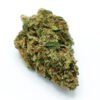 696a9625e3367e1333dd3253_DSCF0118 Durban Poison