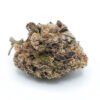 Drippin Dots cannabis strain