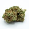 Grapefruit Diesel weed strain