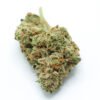 696a9ac4b0209c1d68d11ef2_DSCF0102 Lemon Diesel