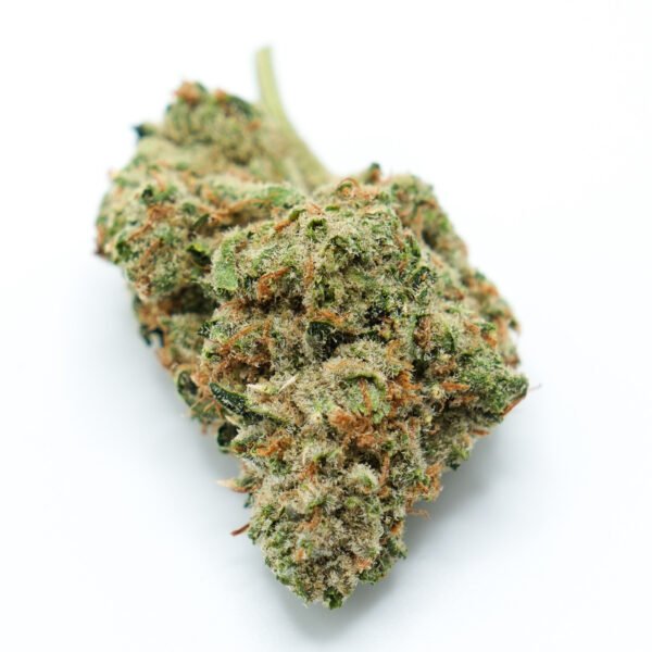 696a9ac4b0209c1d68d11ef2_DSCF0102 Lemon Diesel