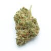 Lemon Diesel hybrid strain
