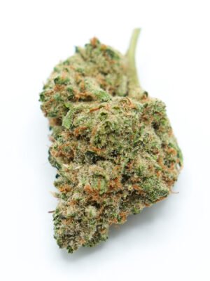 Lemon Diesel hybrid strain