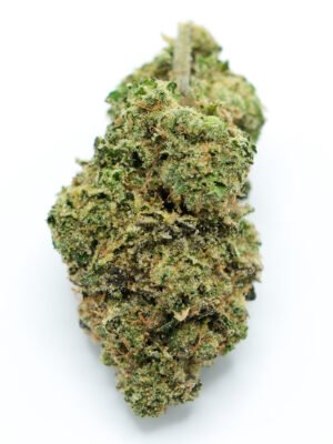 buy London Fog strain near me
