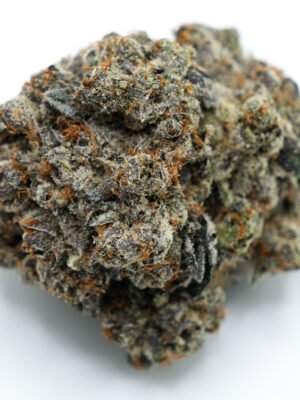 Platinum Gushers hybrid strain