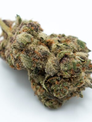 Pop-Tarts strain near me
