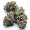 696aa44f4c10f7632af9784b_DSCF0199 Lemon Cherry Runtz
