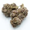 Terp Heads