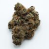 high THC Ultra Boof sativa