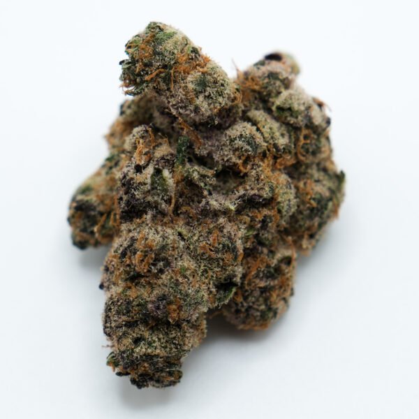 high THC Ultra Boof sativa