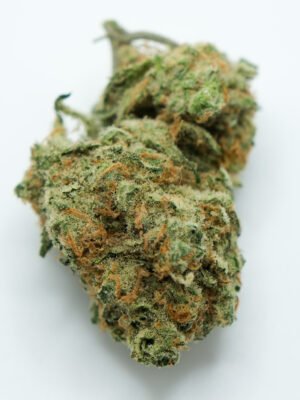 Humboldt Dream cannabis strain
