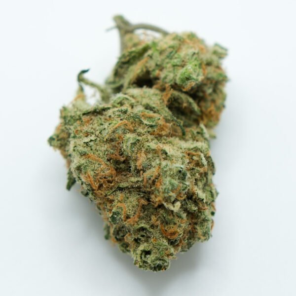 Humboldt Dream cannabis strain