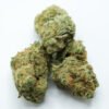 69ab248d54872cdc22dc901b_DSCF0045 Humboldt Dream