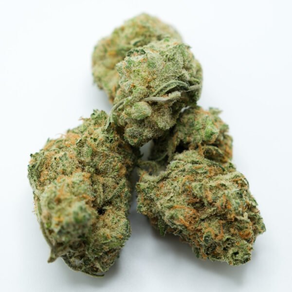 69ab248d54872cdc22dc901b_DSCF0045 Humboldt Dream
