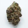 Papaya Crush cannabis strain