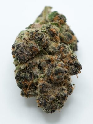 Papaya Crush cannabis strain