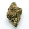Black Maple cannabis strain