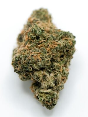 Black Maple cannabis strain