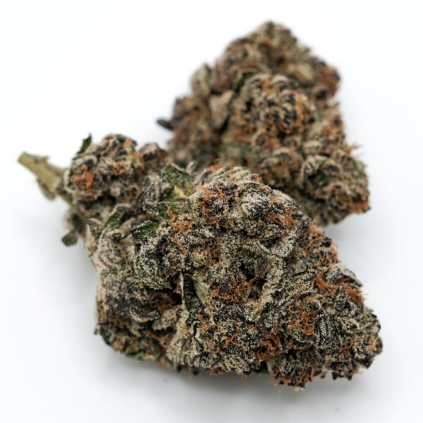Lava Cake