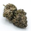 top shelf Platinum Apricot weed