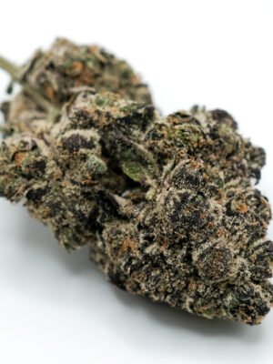 top shelf Platinum Apricot weed